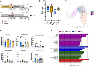 Effects of High-Fat Diet During Childhood on Precocious Puberty and Gut Microbiota in Mice